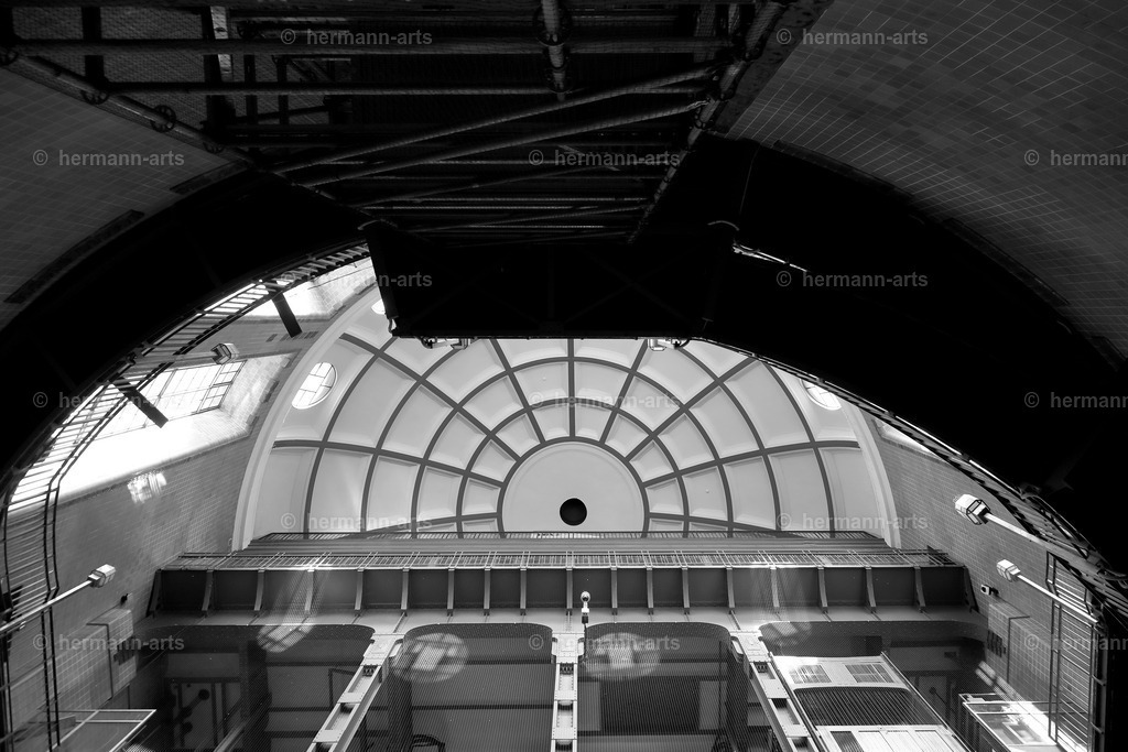 Hamurg_Arts-014 | Photo Foto Kunst Art schwarzweiss Bilder Rheine Münster Berlin Blumen 