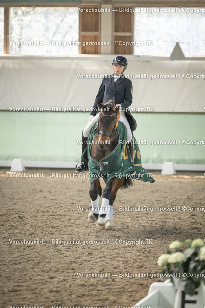 _D5A2520 | Emotionale Pferde- & People-Fotografie rund um Heidelberg, Leimen & Umgebung. Natürliche Fotos von Pferd, Mensch & Familie. Jetzt Termin sichern!