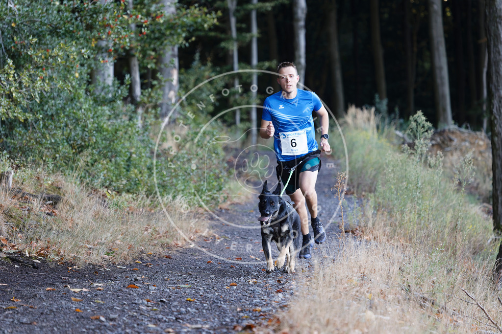 0L8A1356 | Hundefotografie, Tierfotograf, Pfotenfotografie, Fotoshooting Hund, Hunde Portrait, Hundesport, Hundeportraits, Heideshooting, Hunde, Sportfotograf, Hundefotograf, Turnierhundsport, THS,  - Realisiert mit Pictrs.com