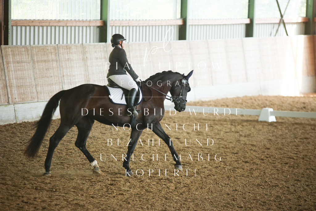 IMGM3487 | pl-fotografie