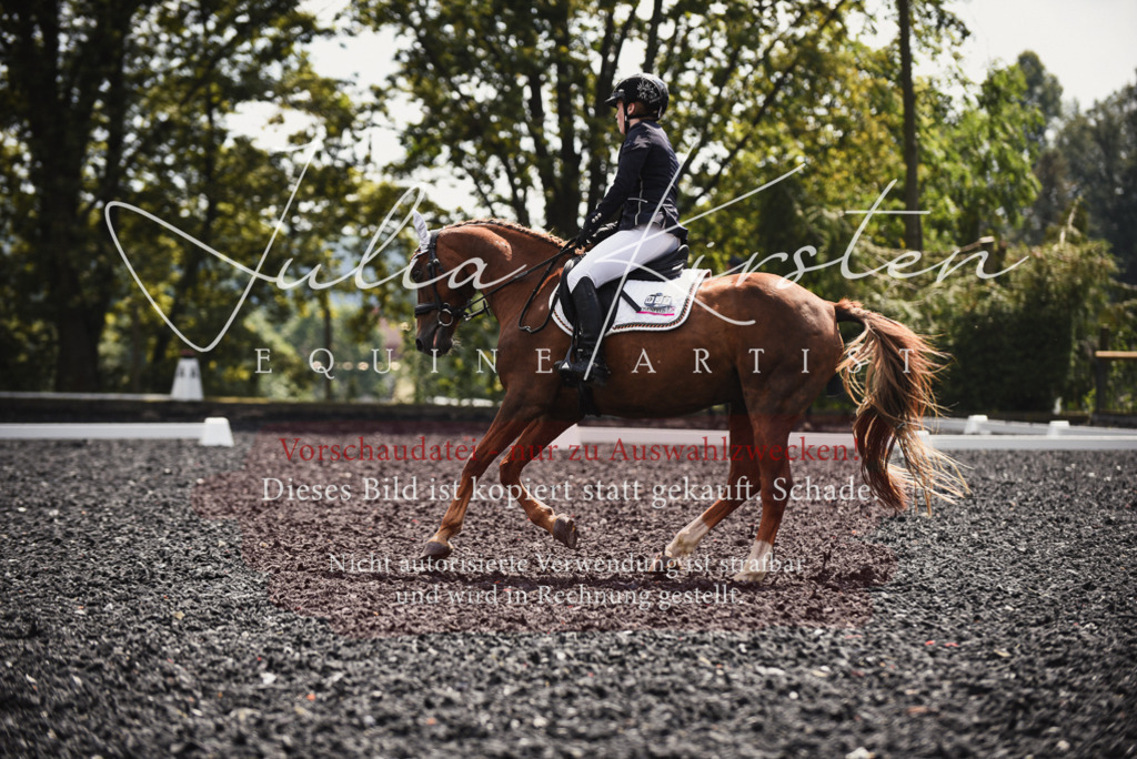 DSC_4229 | Pferde- und Turnierfotografie in Westsachsen. Pferdeportraits, Auftragszeichnungen und intuitive Kunst.
