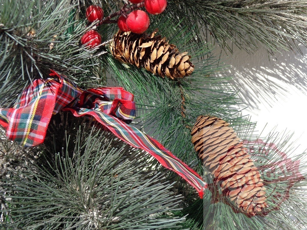 Christmas decoration with pine cones, red berries and tartan ribbon hanging on pine branches | Christmas decoration with pine cones, red berries and tartan ribbon hanging on pine branches with white background - Realisiert mit Pictrs.com