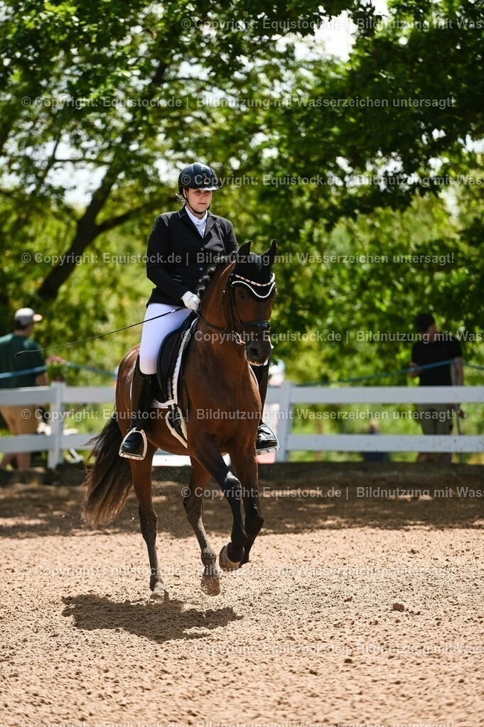 20230716_03_Dressurprfg. Kl.L - Tr._0118 | equistock