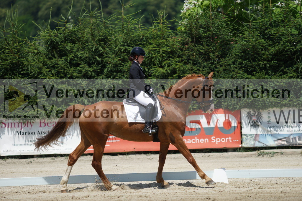 DSC04888 | equestrian-live-com
