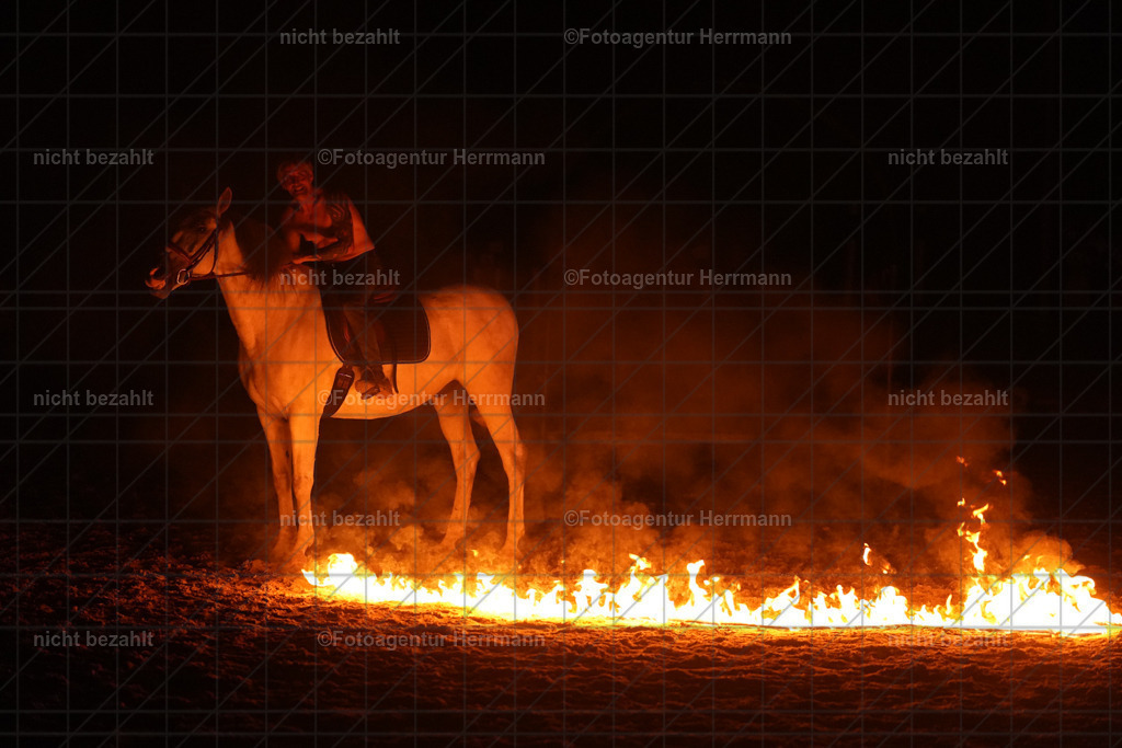 20240824-FAH08871 | Professionelle Turnier- und Reitsportfotografie - mit dem Finger am Auslöser. Pferdebilder aus dem Reitsport von den Turnierfotografen  Bayern , Pferdefotograf Bayern, Pferdeshooting Turnierbilder, Hochzeitsfotograf, Eventfotograf, Hochzeitsbilder