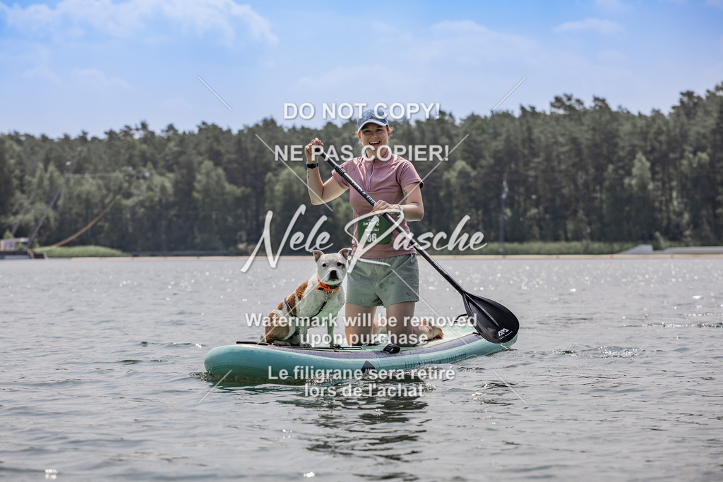 BUHU_SUP_787 | nelerasche