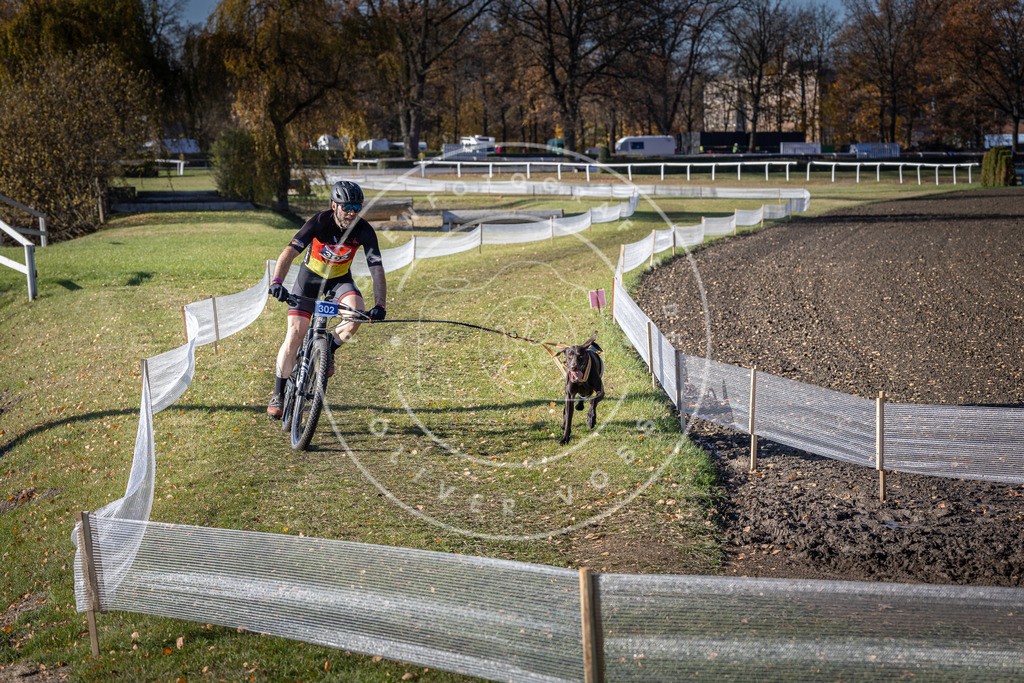 CaniXpix_DV3A6111 | Hundefotografie, Tierfotograf, Pfotenfotografie, Fotoshooting Hund, Hunde Portrait, Hundesport, Hundeportraits, Heideshooting, Hunde, Sportfotograf, Hundefotograf, Turnierhundsport, THS,  - Realisiert mit Pictrs.com