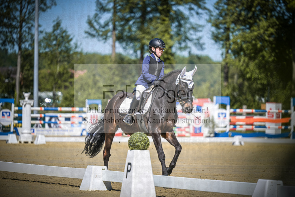 DOS_7951 | Entdecke hochwertige Reitturnierfotos von Foto Oger. Professionell, emotional und authentisch – jetzt Lieblingsmomente im Shop bestellen.Deutschlandweite Turnierfotografie. - Realisiert mit Pictrs.com