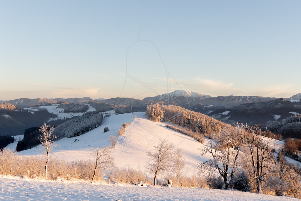 Winter am Hochkogelberg mit Blick zum Ötscher | Ihre Fotografin im Lungau, ihre Fotografin im Mostviertel, Wandbilder Onlineshop, Imagefotos für Ihr Unternehmen,  - Realisiert mit Pictrs.com