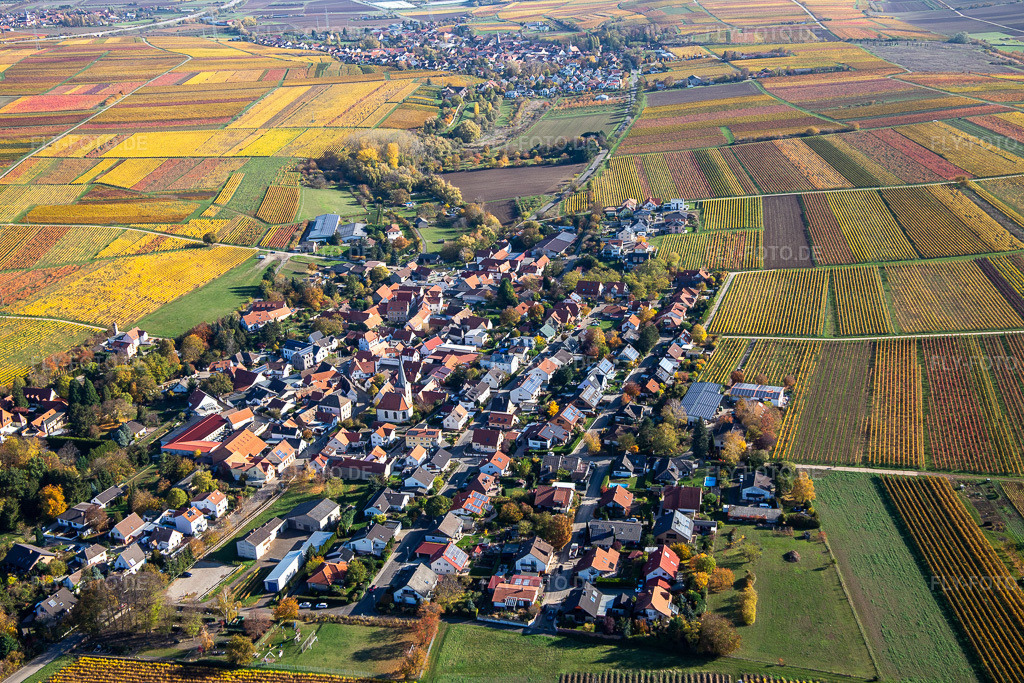 Luftbild: Herbstliche verfärbte Vegetationsansicht Landwirtschaftliche Nutzflächen und Feldgrenzen umsäumen das Siedlungsgebiet des Dorfes in Bissersheim im Bundesland Rheinland-Pfalz in Deutschland. Foto: IMG_123531.jpg vom 31.10.2020 durch Werner Riehm/FLY-FOTO.de
