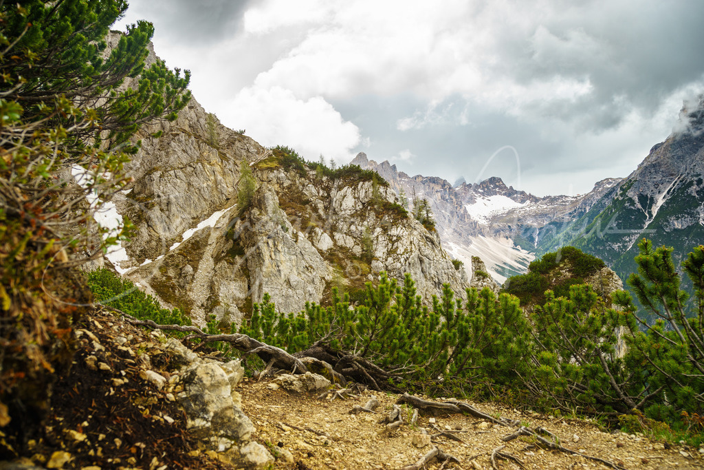 _DSC4894 | Baumgartner Markus Fotografie