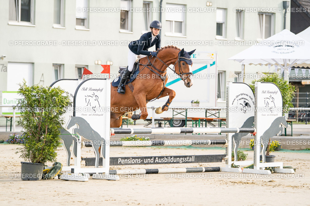 DSC07799 | Pferdegrafie