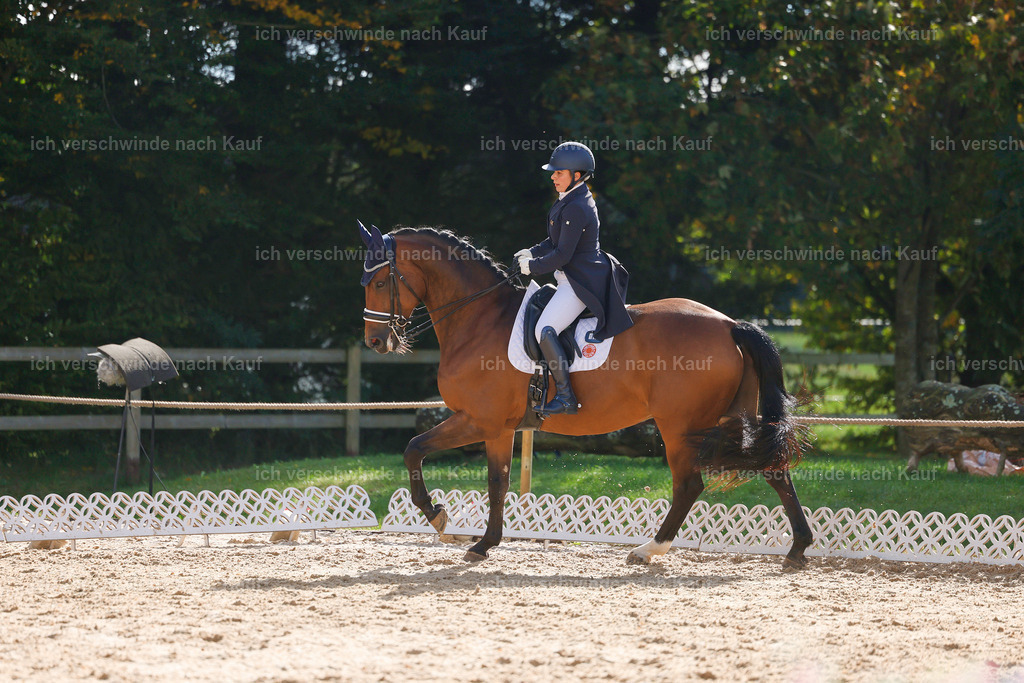 09_2-169-DRESSUR  S_  -StoibPH-5754 | working equitationturnier fotograf videograf stoibphotography marixx film working equitation deutschland reitsport turnierfotografie eventfotografie equestrian events