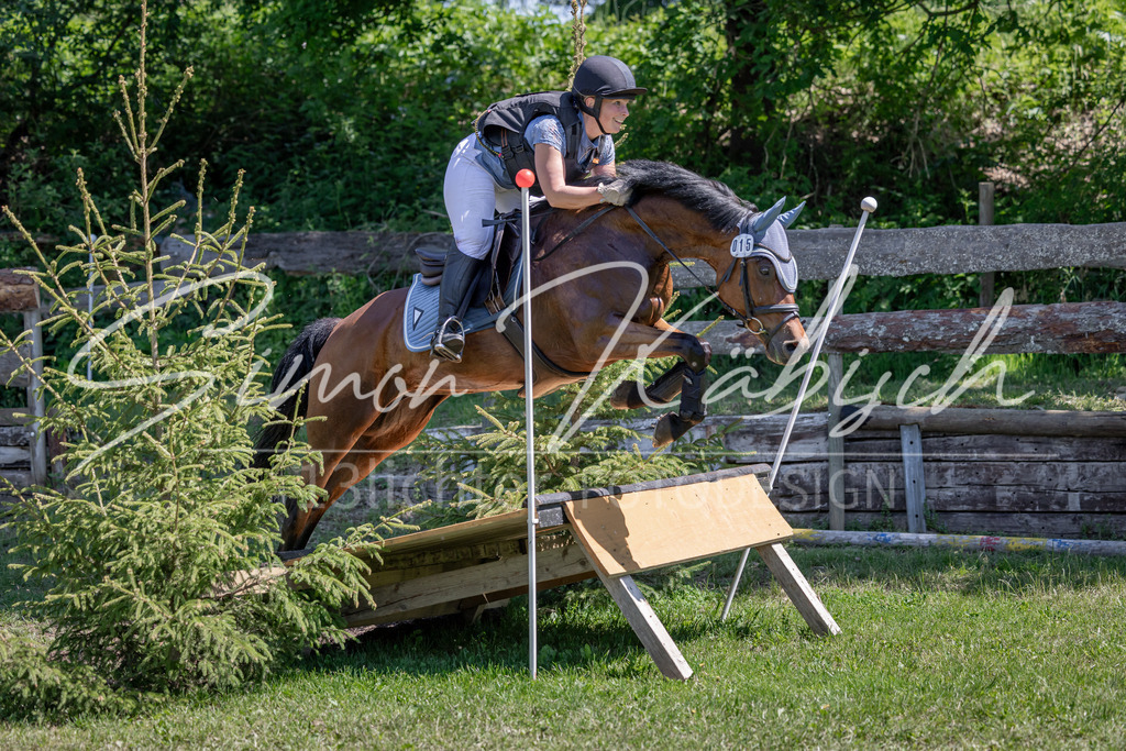 20260523-_3LI7932 | Tierfotografie Pferde, Hunde, Katzen, Haustiere.
Turnierfotografie Reitturniere, Reiten, Springreiten, Dressur in Hanau, dem Main-Kinzig-Kreis und dem Rhein-Main- Gebiet um Frankfurt