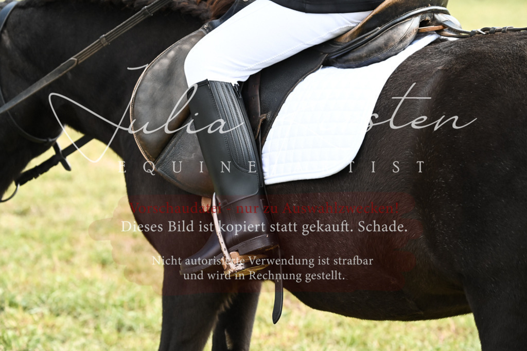 DSC_6891 | Pferde- und Turnierfotografie in Westsachsen. Pferdeportraits, Auftragszeichnungen und intuitive Kunst.