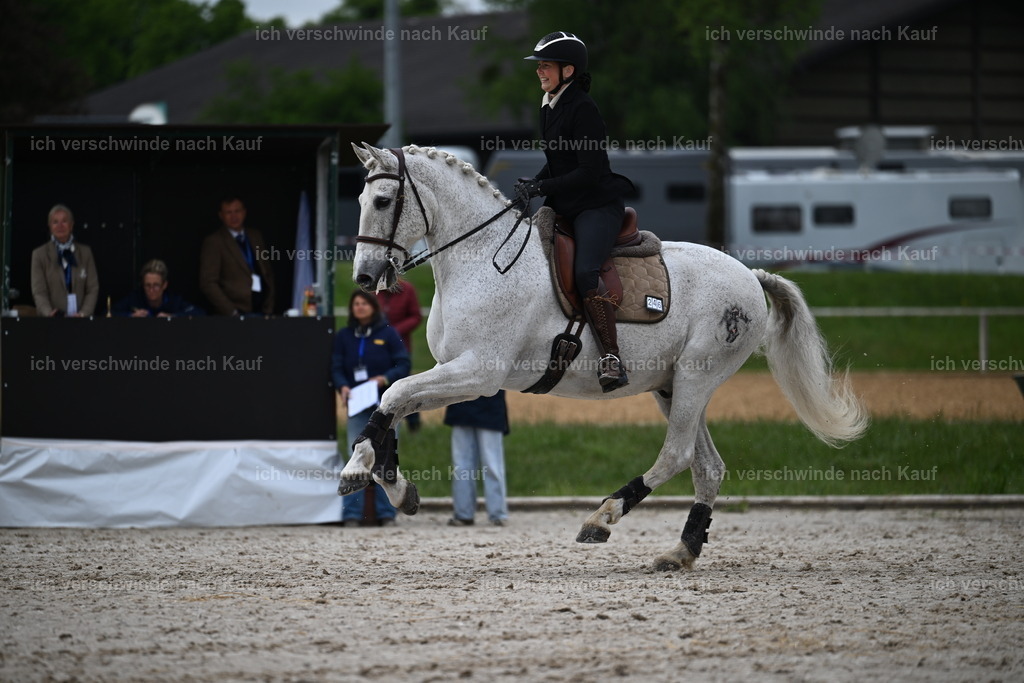 PI26_SP_Sara_Landvogt_226_4635.JPG | working equitationturnier fotograf videograf stoibphotography marixx film working equitation deutschland reitsport turnierfotografie eventfotografie equestrian events