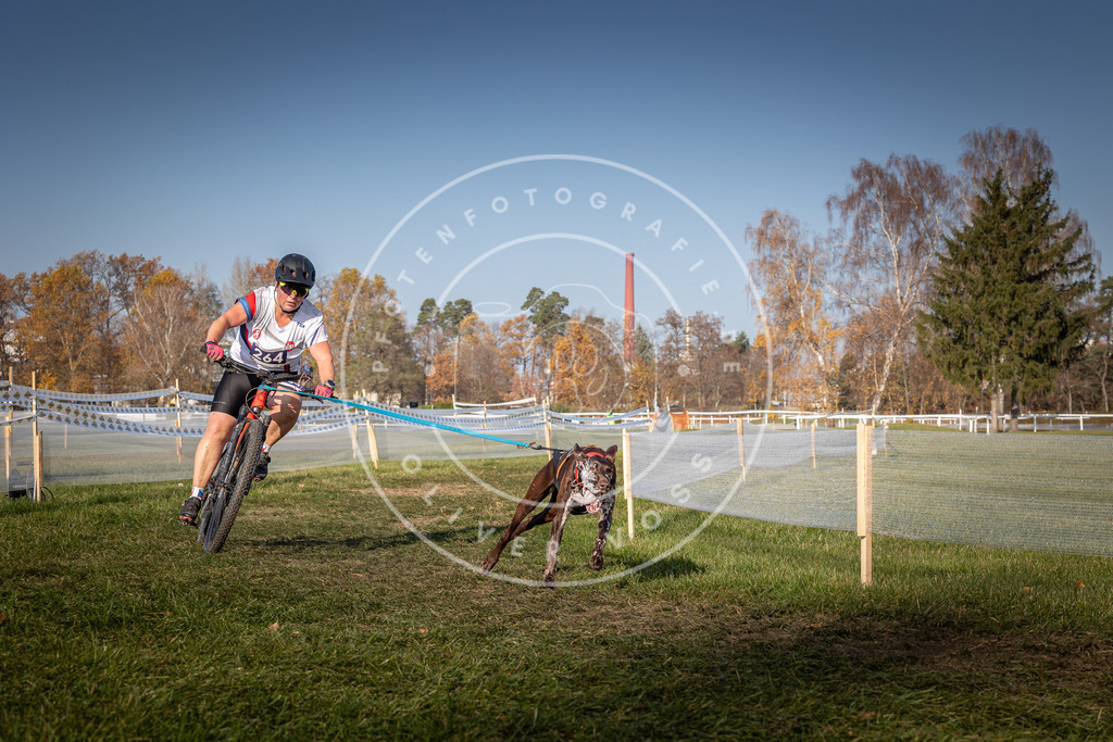 CaniXpix_0L8A7117 | Hundefotografie, Tierfotograf, Pfotenfotografie, Fotoshooting Hund, Hunde Portrait, Hundesport, Hundeportraits, Heideshooting, Hunde, Sportfotograf, Hundefotograf, Turnierhundsport, THS,  - Realisiert mit Pictrs.com