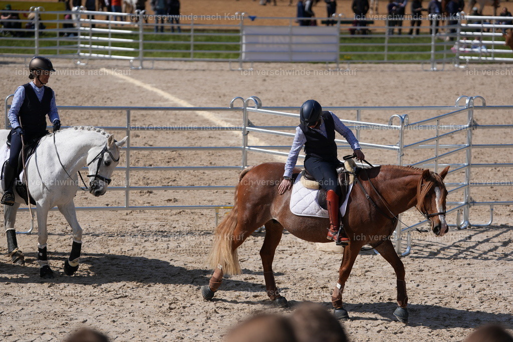 PI26_GesamtCOW_JansPictures_7C_09975.JPG | working equitationturnier fotograf videograf stoibphotography marixx film working equitation deutschland reitsport turnierfotografie eventfotografie equestrian events