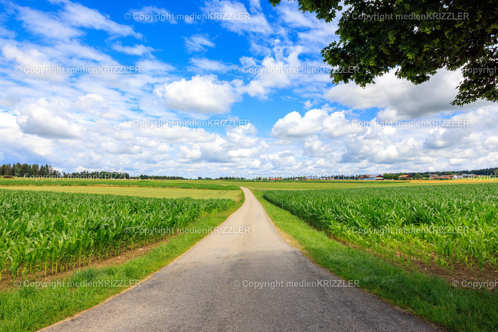 _J3A8030 | medienkrizzler - Realisiert mit Pictrs.com