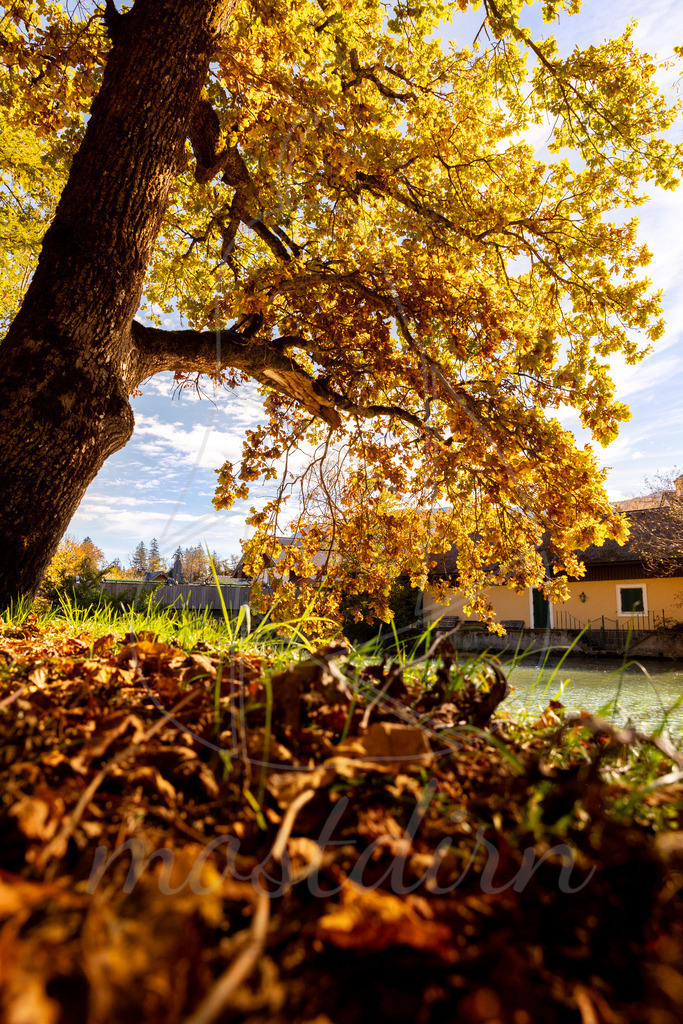 Herbst am Wolfgangsee | Ihre Fotografin im Lungau, ihre Fotografin im Mostviertel, Wandbilder Onlineshop, Imagefotos für Ihr Unternehmen,  - Realisiert mit Pictrs.com