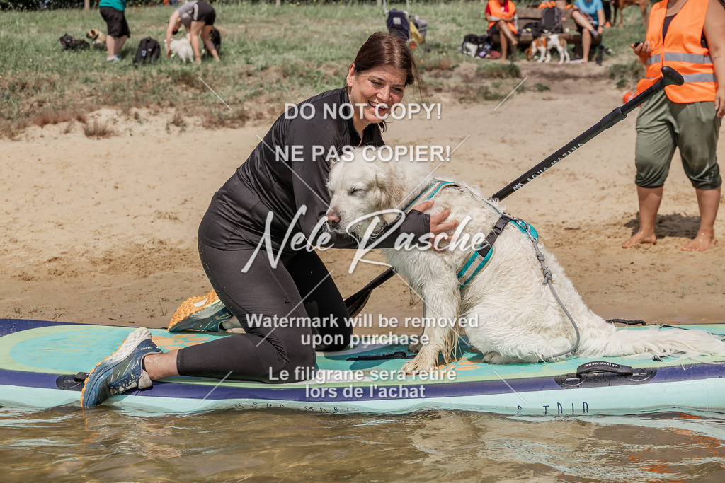 BUHU_SUP_672 | nelerasche