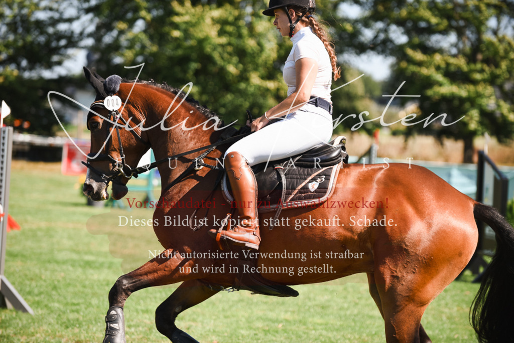 DSC_2827 | Pferde- und Turnierfotografie in Westsachsen. Pferdeportraits, Auftragszeichnungen und intuitive Kunst.