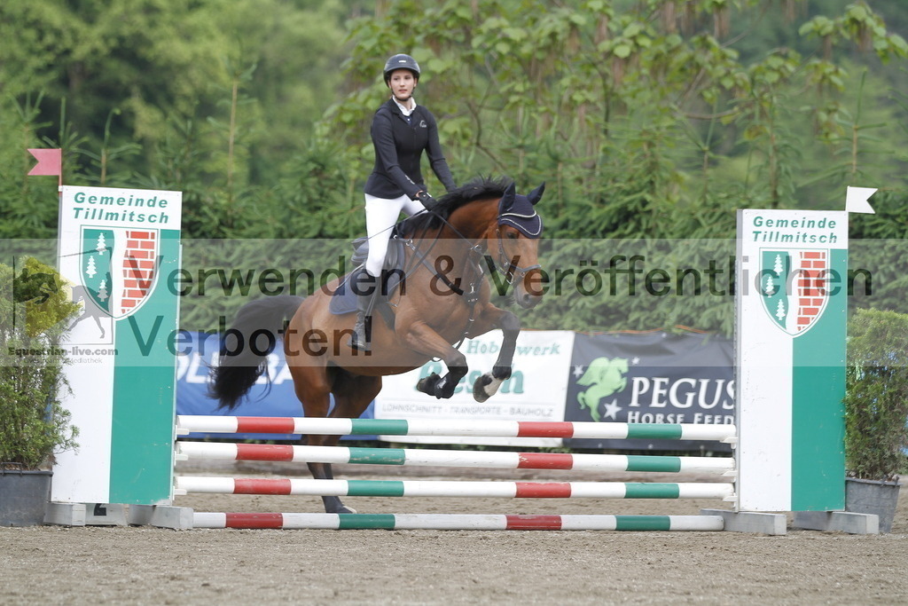 _MG_4339 | equestrian-live-com