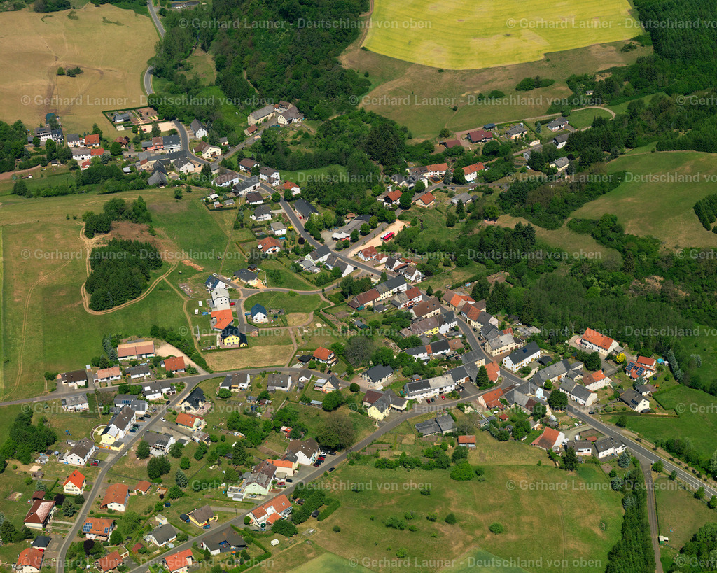 Fohren-Linden-3111074 | Fohren-Linden