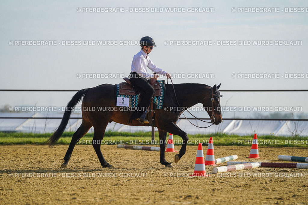 DSC00776 | Pferdegrafie