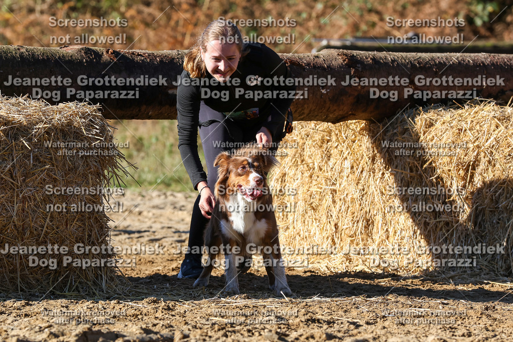Dog Paparazzi - Strongdog 10-25-2168 | Dog Paparazzi Jeanette Grottendiek Fotografie & Videografie - Realisiert mit Pictrs.com