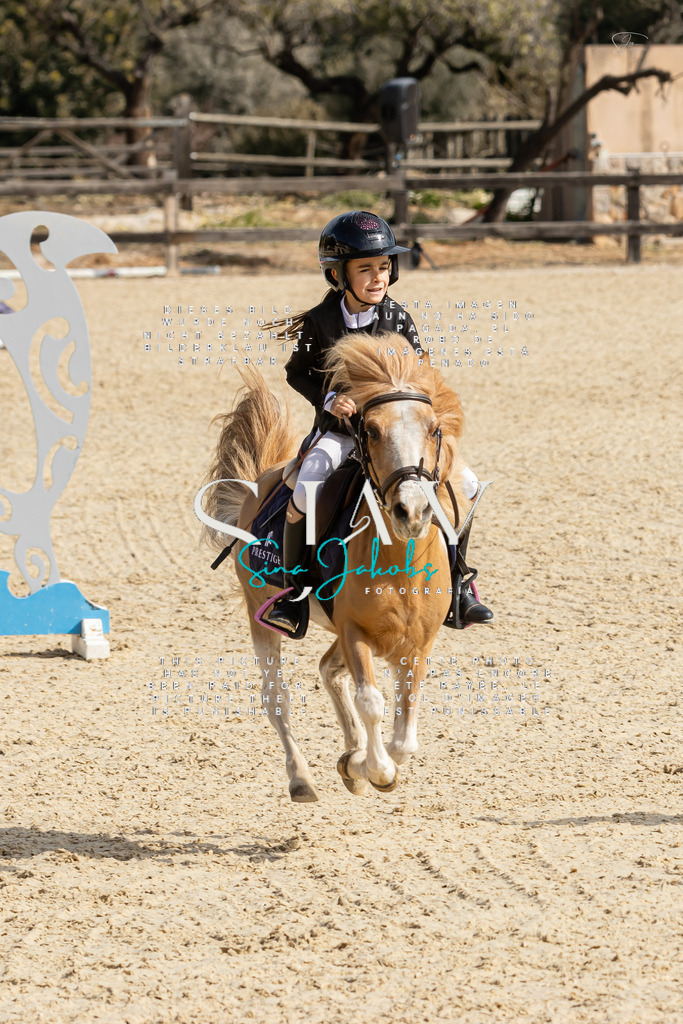 IMG_4459 | s-jay-photography - Realisiert mit Pictrs.com