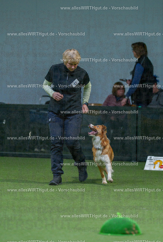 7R500711 | Professionelle Tierfotografie in Mönchengladbach von Daniel Wirth (allesWIRTHgut). Liebevolle & natürliche Bilder von Hunden & Katzen für unvergessliche Erinnerungen.