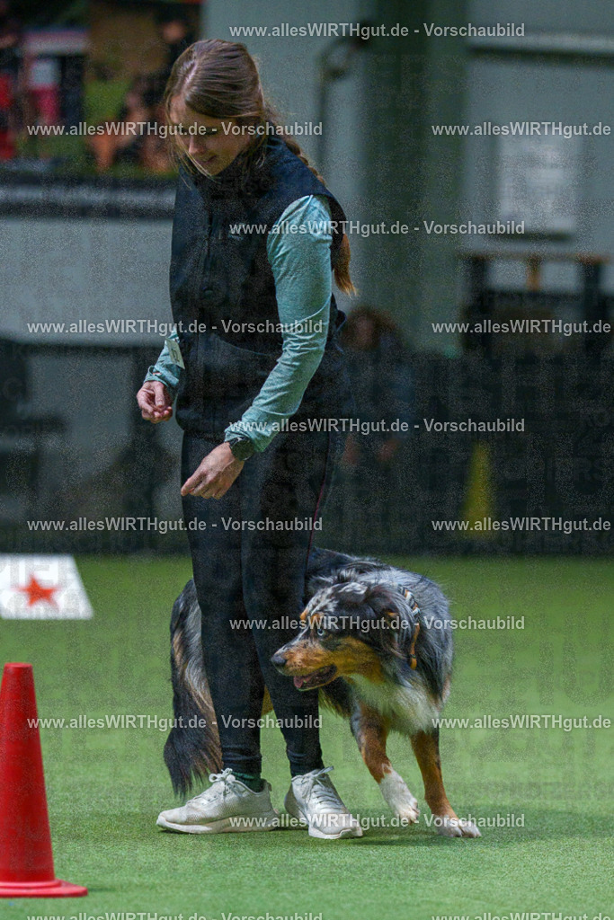 7R503095 | Professionelle Tierfotografie in Mönchengladbach von Daniel Wirth (allesWIRTHgut). Liebevolle & natürliche Bilder von Hunden & Katzen für unvergessliche Erinnerungen.