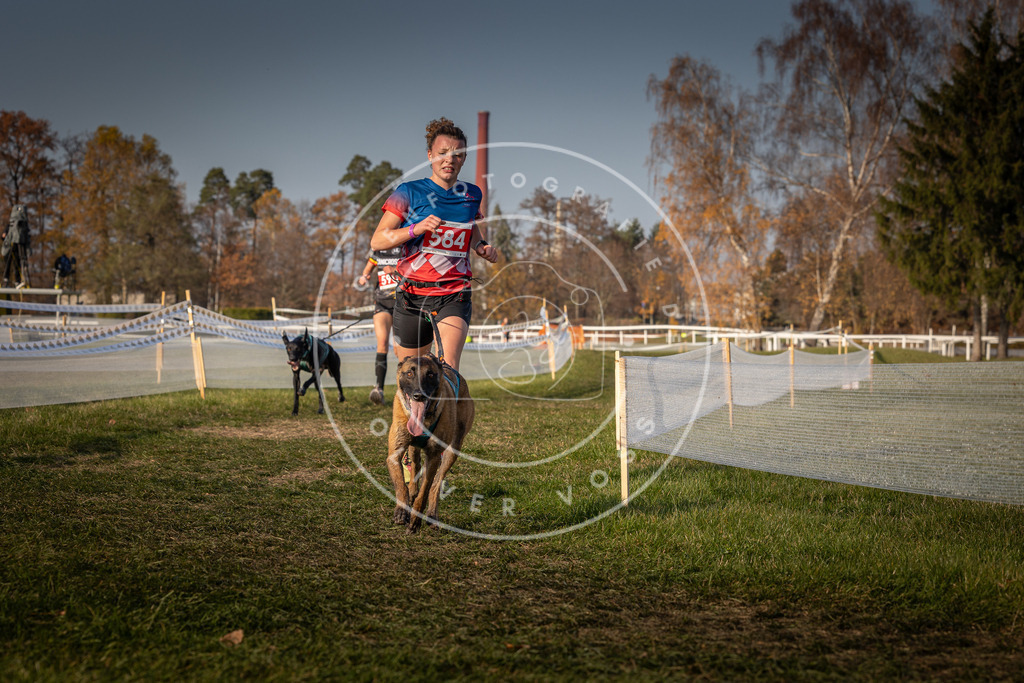 CaniXpix_0L8A9897 | Hundefotografie, Tierfotograf, Pfotenfotografie, Fotoshooting Hund, Hunde Portrait, Hundesport, Hundeportraits, Heideshooting, Hunde, Sportfotograf, Hundefotograf, Turnierhundsport, THS,  - Realisiert mit Pictrs.com
