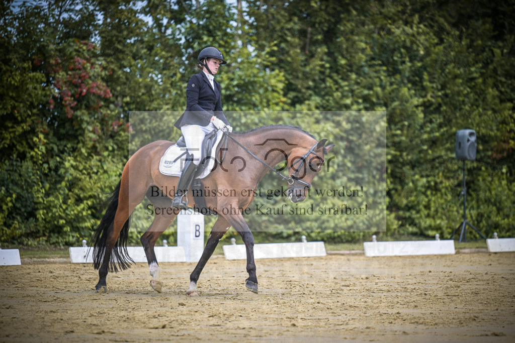 DOS_3026 | Entdecke hochwertige Reitturnierfotos von Foto Oger. Professionell, emotional und authentisch – jetzt Lieblingsmomente im Shop bestellen.Deutschlandweite Turnierfotografie. - Realisiert mit Pictrs.com
