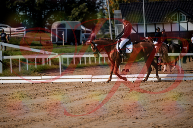 2026_10_03_Siefer-Hof_114212_Z63_23604616 | Professionelle Reitsport-, Turnier- und Eventfotografie von Robert Broda. Galerien mit ausgewählten und bearbeiteten Bildern direkt online ansehen und bestellen.