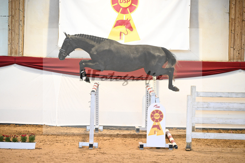 Kat-Nr. 13 Chin Chin x Landprinz_Rudolph_43231315 | hf-fotografie - Realisiert mit Pictrs.com
