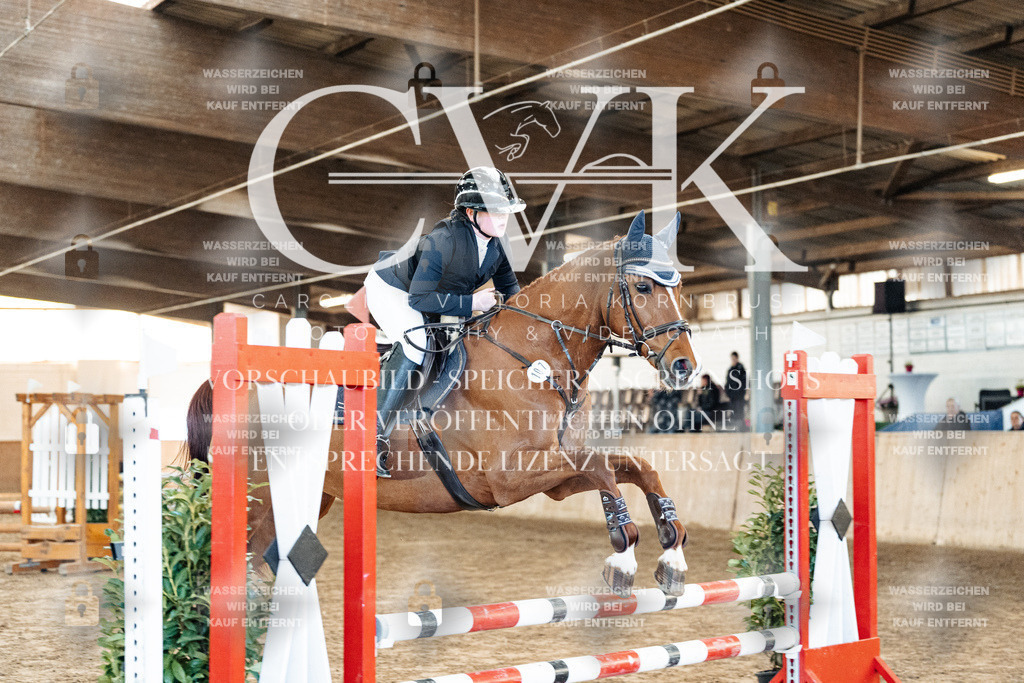 CK903740 | Turnierfotografie Pferdefotografie Trier Rheinland-Pfalz Pferdesport Reitsport Tierfotografie Sportfotografie Pferdevideo Pferdevideografie Equestrianvideography equestrianphotography  - Realized with Pictrs.com