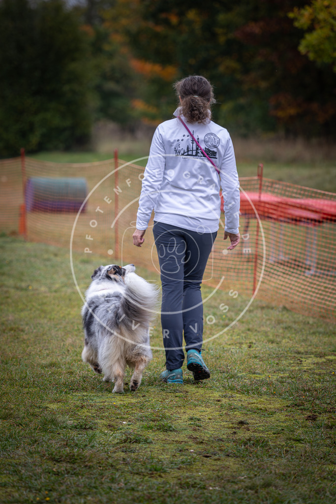 Pfotenfotografie_DV3A9360 | Hundefotografie, Tierfotograf, Pfotenfotografie, Fotoshooting Hund, Hunde Portrait, Hundesport, Hundeportraits, Heideshooting, Hunde, Sportfotograf, Hundefotograf, Turnierhundsport, THS,  - Realisiert mit Pictrs.com