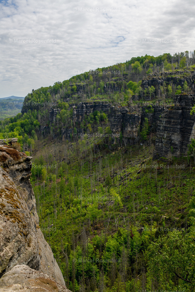 _DSC5003 | foto-rosenfeld