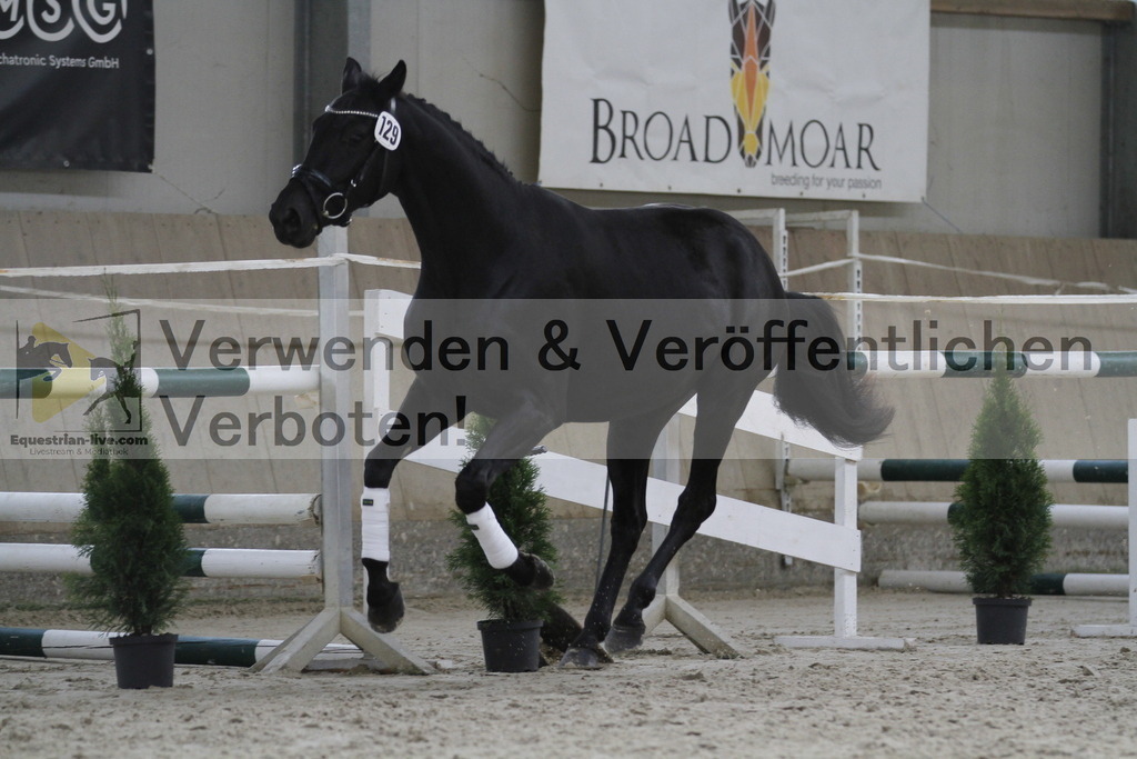 _MG_9852 | equestrian-live-com