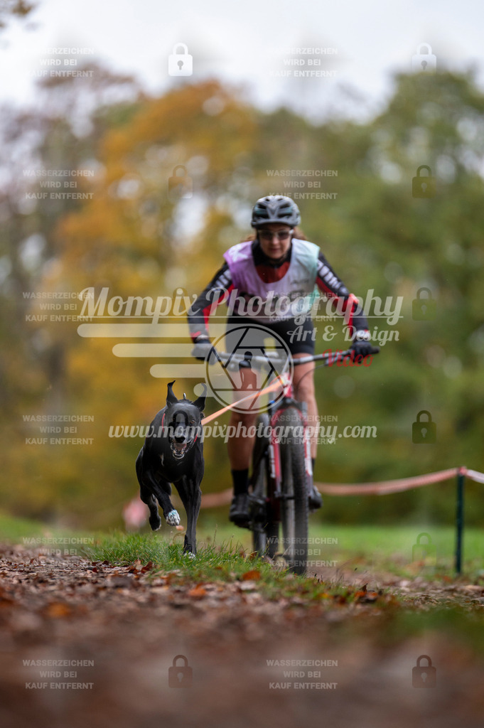 DBT_DAKM_SA_4_11_2023_Bike-58 | PayLife