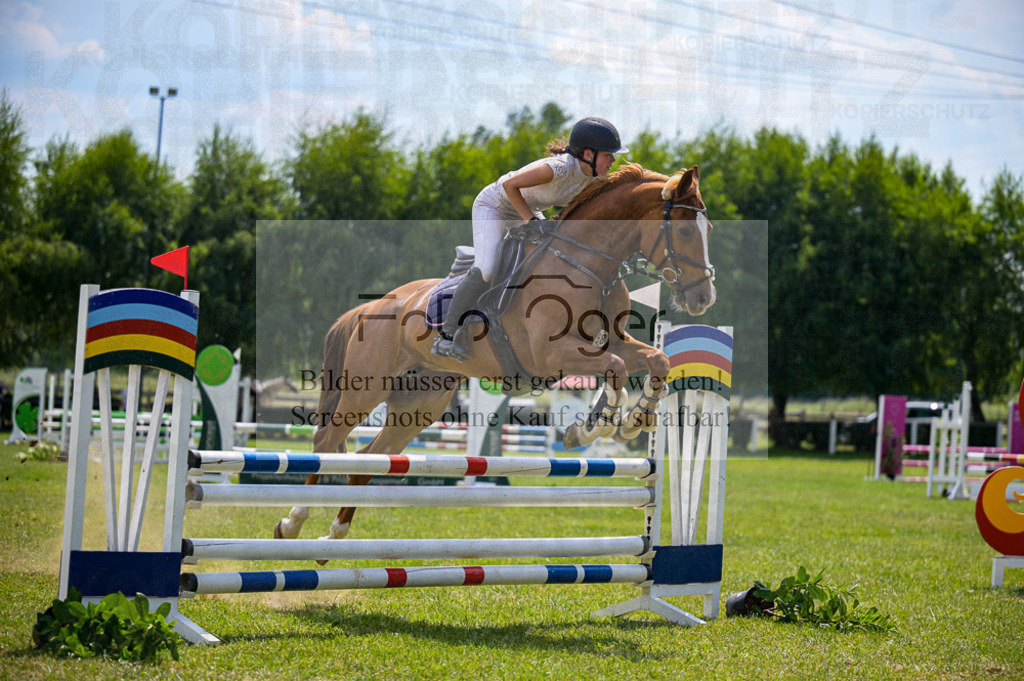 Reitturnier Voxtrup | Entdecke hochwertige Reitturnierfotos von Foto Oger. Professionell, emotional und authentisch – jetzt Lieblingsmomente im Shop bestellen.Deutschlandweite Turnierfotografie. - Realisiert mit Pictrs.com