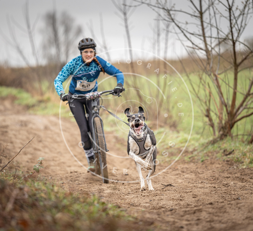 DV3A9195 | Hundefotografie, Tierfotograf, Pfotenfotografie, Fotoshooting Hund, Hunde Portrait, Hundesport, Hundeportraits, Heideshooting, Hunde, Sportfotograf, Hundefotograf, Turnierhundsport, THS,  - Realisiert mit Pictrs.com