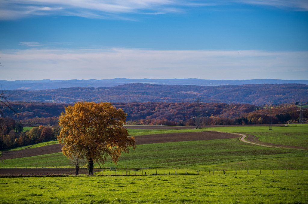 POA | Herbstwanderung nach Ohlenberg - Realisiert mit Pictrs.com