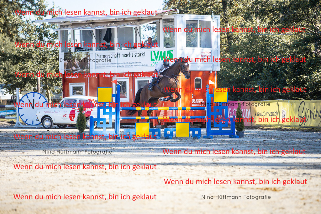 BK1A6157 | Turnierbilder Turnierfotos Nina Hüffmann Turnierfotografie Pferdefotografie Tierzeichnung Haustierzeichnung Pferdezeichnung Hundezeichnung Videograf  - Realisiert mit Pictrs.com
