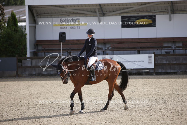 1J2A8940Pheline Ahlmann_ Ogano PB_ Kn816_ Havekost | Foto- und Videografie für alles rund ums Pferd. Hochwertige Bilder und Videos vom Spring- und Dressurreiten, Voltigieren & mehr. Jetzt aktuelle Veranstaltungen und Preise im Shop ansehen. - Realisiert mit Pictrs.com