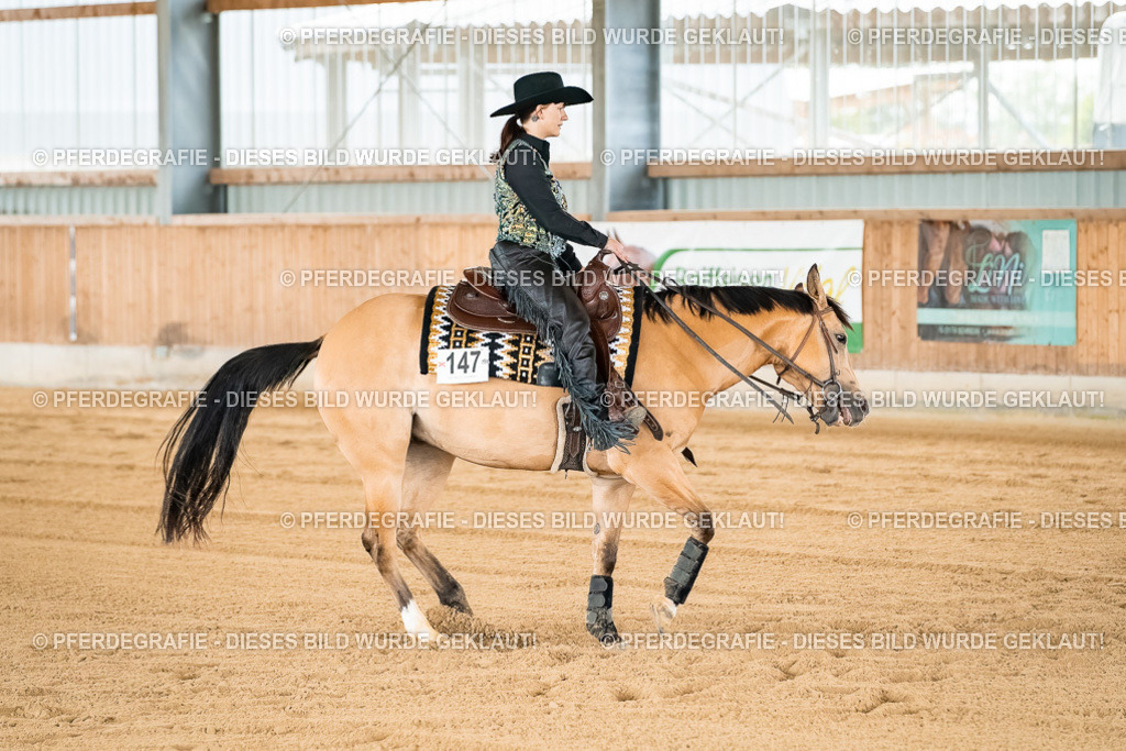 DSC02882 | Pferdegrafie