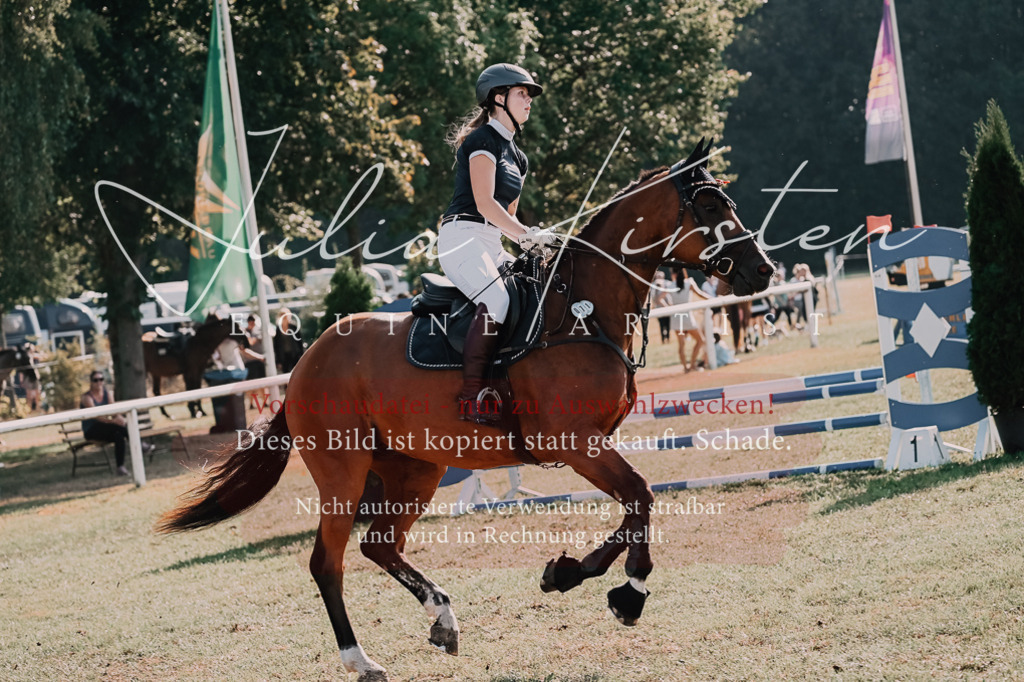 DSC_4668 | Pferde- und Turnierfotografie in Westsachsen. Pferdeportraits, Auftragszeichnungen und intuitive Kunst.