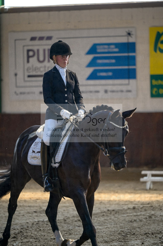 Reitturnier Voxtrup | Entdecke hochwertige Reitturnierfotos von Foto Oger. Professionell, emotional und authentisch – jetzt Lieblingsmomente im Shop bestellen.Deutschlandweite Turnierfotografie. - Realisiert mit Pictrs.com